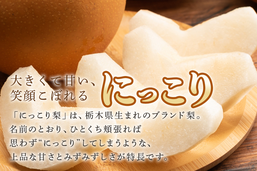 にっこり 5kg 3L～6L 7～14玉 梨 なし ナシ 果物 フルーツ 国産 数量限定 先行予約 【10月1日～11月末発送予定】 70-O
