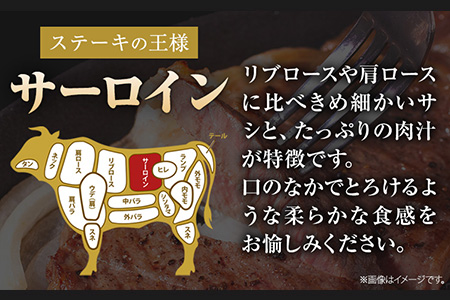 くまもと黒毛和牛 サーロインステーキ 500g ( 250g x 2枚 ) 牛肉 冷凍 《1月中旬-4月末頃出荷》 くまもと黒毛和牛 黒毛和牛 冷凍庫 個別 取分け 小分け 個包装 ステーキ肉 にも 