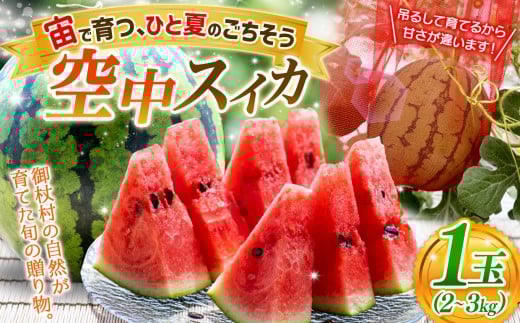 【先行予約】御杖村 久保さんの空中スイカ | スイカ 空中スイカ 果物 フルーツ 特別な逸品 贈り物 先行予約 奈良県 御杖村 みつえむら