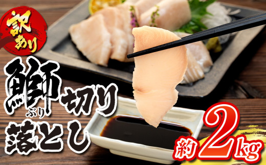 ＼10営業日以内発送／ ブリ 訳あり 鰤 ぶり 切り落とし 計約 2kg (250g×8パック) 南予ビージョイ わけあり buri 産地直送 訳アリ 訳あり品 養殖 刺身 お刺身 漬け丼 茶漬け 新鮮 鰤しゃぶ ぶりしゃぶ 冷凍 小分け 流水解凍 鮮魚 人気返礼品 大容量 国産 愛媛 宇和島 D018-150008