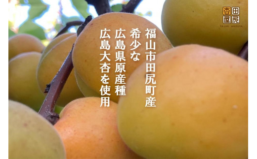 ジャム 田尻あんずのアプリコットジャム 120g 3個入り 広島県福山市/田尻杏屋 あんず アプリコット 杏 フルーツ 果物 [BAEK001]