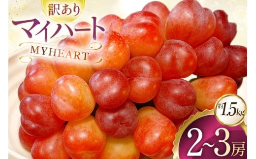 【期間限定発送】 訳あり マイハート 2～3房 約1.5kg [ごとう農園 山形県 高畠町 tk06bcz270000] フルーツ 果物 くだもの ぶどう ブドウ 葡萄 1.5キロ 甘い 果実 デザート マスカット 農家直送 産地直送 数量限定 期間限定 わけあり