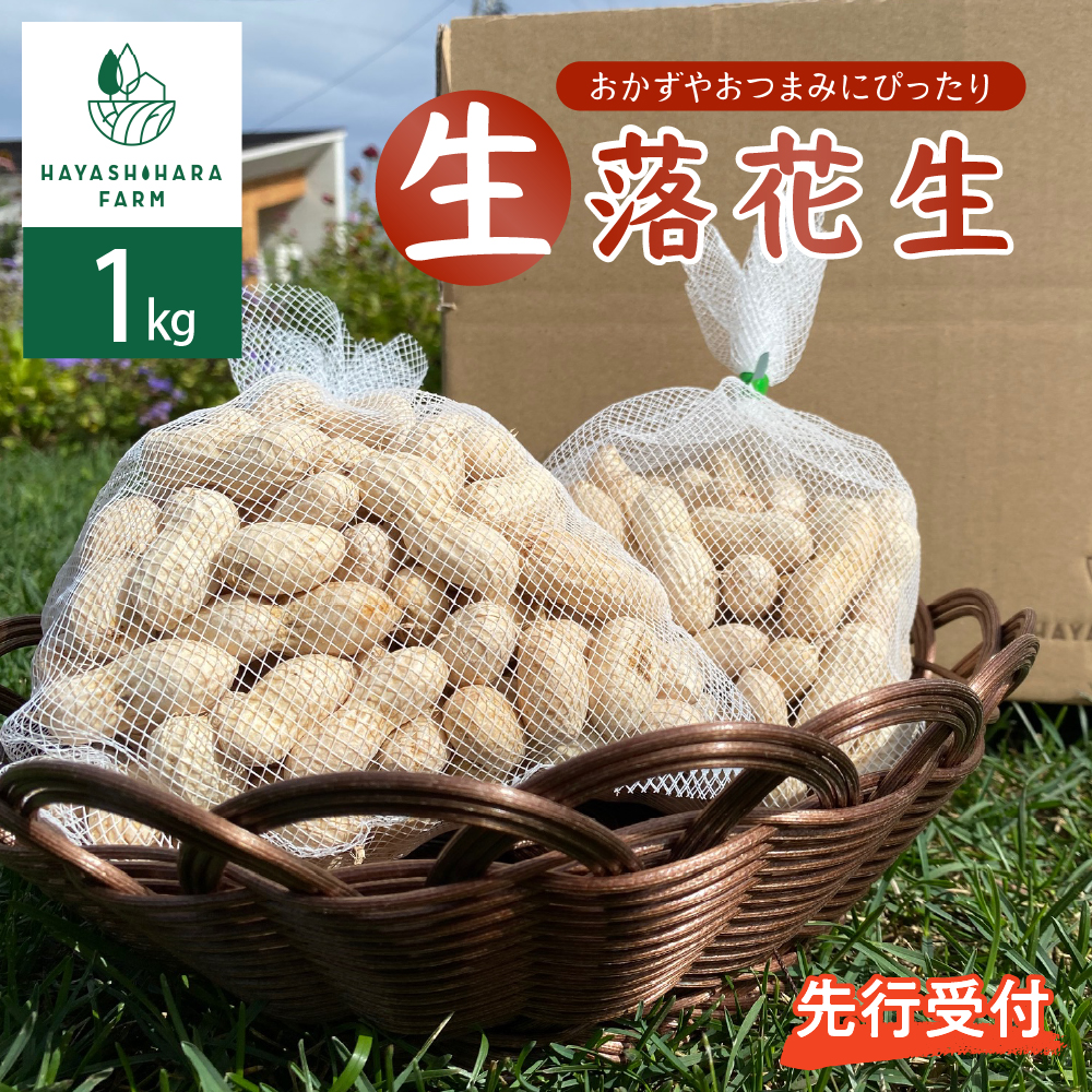 【2026年出荷分】北海道十勝芽室町 生落花生 茹で用 郷の香 1kg me028-003c-26