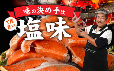 銀鮭2kg(500g×4P)_17-8408_(都城市) トレーパック 1Pあたり4～6切れ カット済 調味加工 切身 鮭 さけ 朝食 お弁当 おかず