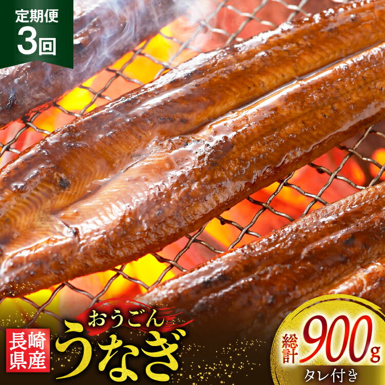 【ふるさと納税】うなぎ 国産 蒲焼 長崎県産 おうごんうなぎ 約300g 2尾〜3尾 3回 定期便 総計 約900g [松永水産 長崎県 平戸市 hr42bgy400032] 鰻 うな重 うな丼 ひつまぶし 蒲焼き かばやき タレ付き 養殖 国内産 冷凍 unagi
