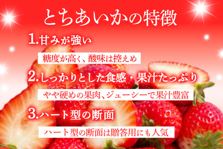 [先行予約] [定期便／3ヶ月] 日光産 とちあいか定期便 (毎月お届け 約1.2kg×3回 計3.6kg) [2026年1月中旬から順次発送]｜とちあいか いちご イチゴ 苺 果物 日光産 栃木県産