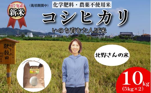 【令和7年産新米】米 コシヒカリ 10kg 天皇献上米  (栽培期間中）化学肥料・農薬不使用米 白米 精米 こめ  ご飯 備蓄米 ごはん 新米  環境 に優しい 小松島市 上王子特質米 10kg