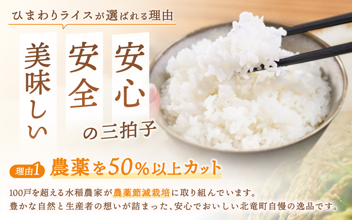 令和8年産 ななつぼし 2kg 新米 お米 ごはん 農薬節減栽培 北海道米 少量 お試し【sun400-nana-r2-R8】