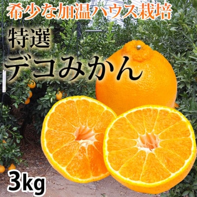 特選デコみかん(不知火)3kgハウス栽培【2025年12月上旬から2026年1月下旬発送予定】宇城市【1640760】