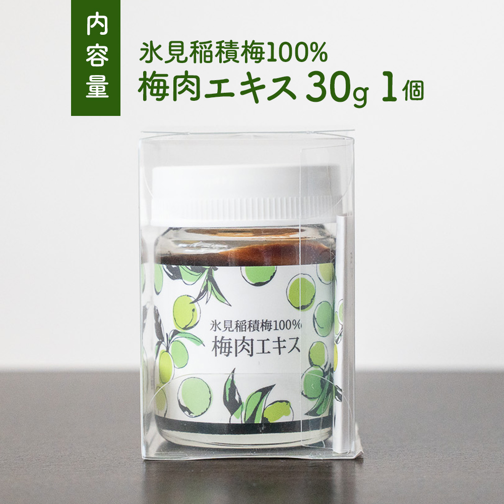 梅肉エキス 氷見稲積梅100% 1個 富山県 氷見市 国産 うめ 青