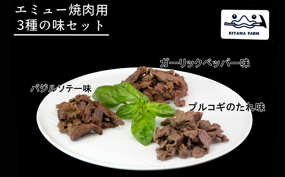 
            エミュー焼肉用3種の味セット【エミュー 基山産 高タンパク 高鉄分 低カロリー ヘルシー ジビエ 貴重肉 鉄分補給】K006024
          