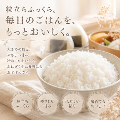 ふるさと納税 江北町 【毎月定期便】さがびより白米5kg(江北町)全6回 |  | 01