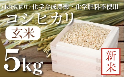 【令和7年産新米先行予約】玄米 5kg コシヒカリ 新米 令和7年産 米 こめ ご飯 ごはん おにぎり 卵かけご飯 白米 栽培期間中 化学合成農薬不使用 食品 備蓄 備蓄米 保存 防災 ギフト 贈答 プレゼント お取り寄せ グルメ 送料無料 徳島県