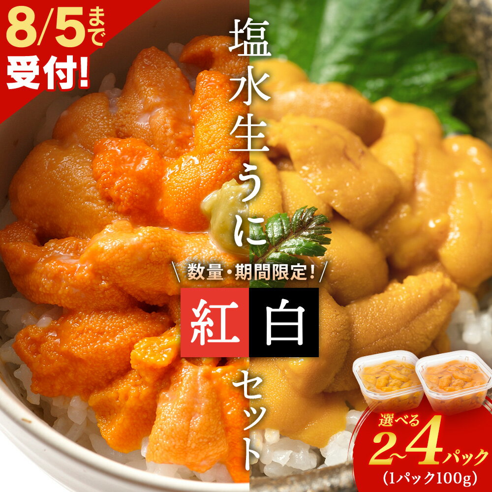 【ふるさと納税】【2025年夏発送分】バフン復活！もう間も無く！今シーズン出荷終了！バフンウニ・ムラサキウニ 選べる各1パック～2パック 大川商店北海道ふるさと納税 積丹町 ふるさと納税 北海道 キタムラサキウニ エゾバフンウニ 雲丹 通販 ギフト ウニ うに 2025年