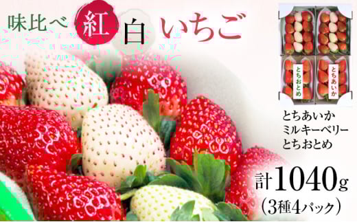 ＼期間限定寄附額／【先行予約】味くらべ紅白いちご 3種 4パック （3～5月発送）【家計応援】 いちご 果物 フルーツ 苺 イチゴ くだもの とちあいか ミルキーベリー とちおとめ 朝取り 新鮮 美味しい 甘い ※2026年3月上旬～5月中旬頃に順次発送予定