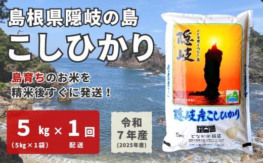 1702　【令和7年産】隠岐産こしひかり5Kg（5Kｇ×1袋）