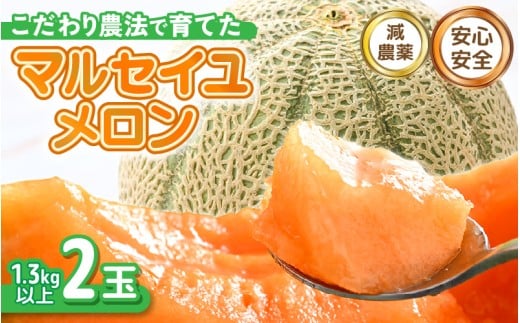 【先行予約】 安心安全！減農薬！こだわり農法で育てたマルセイユメロン 2玉  (1玉あたり：1.3kg以上) 【2026年6月中旬以降順次発送予定】 【メロン めろん 赤肉 フルーツ デザート 果物 くだもの 果実 糖度 甘い 産地直送 国産】 [A-21208]