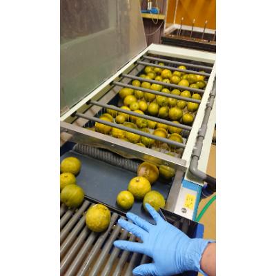 ふるさと納税 那智勝浦町 和歌山県の柑橘じゃばらパウダー 100g |  | 02