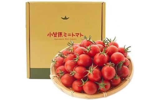 小笠原ミニトマト　850ｇ