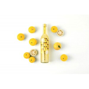生の柚子果汁を生詰めで生産したフレッシュリキュール　YUZU HOLIC【配送不可地域：離島】【1296036】