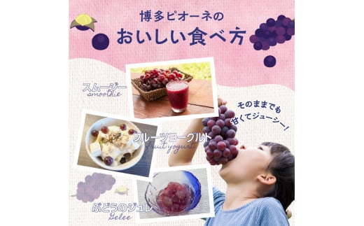 【先行受付】博多ピオーネ（350g×4パック）｜7月上旬〜発送予定