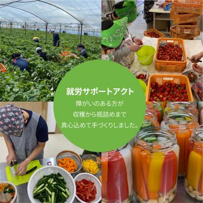 ふるさと納税 岡崎市 三河野菜の葵ピクルス「あいちの家康酢漬」250gびん2本 |  | 03