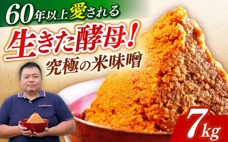 【米みそ】福みそ7kg [ABAF015] 築上 調味料 人気 おすすめ 発酵食品 おいしい