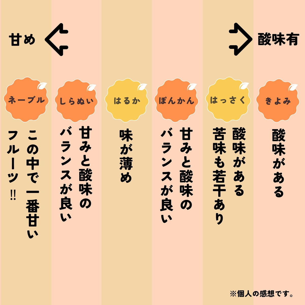 和歌山 有田 はっさく 5kg DJ065_イメージ5
