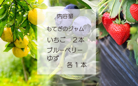 茂木産果実100％使用！ イチゴ＆ブルーベリー＆ゆずジャム 160g×4本 保存料・着色料・香料不使用 | ジャム ジャム ジャム ジャム ジャム