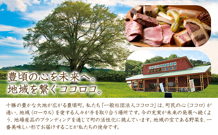 神秘のジュエリーアイス ネックレス＆ピアスセット オレンジ 一般社団法人ココロコ《30日以内に出荷予定(土日祝除く)》北海道 豊頃町 特産 ジュエリーアイス アクセサリー ネックレス ペンダント ピア