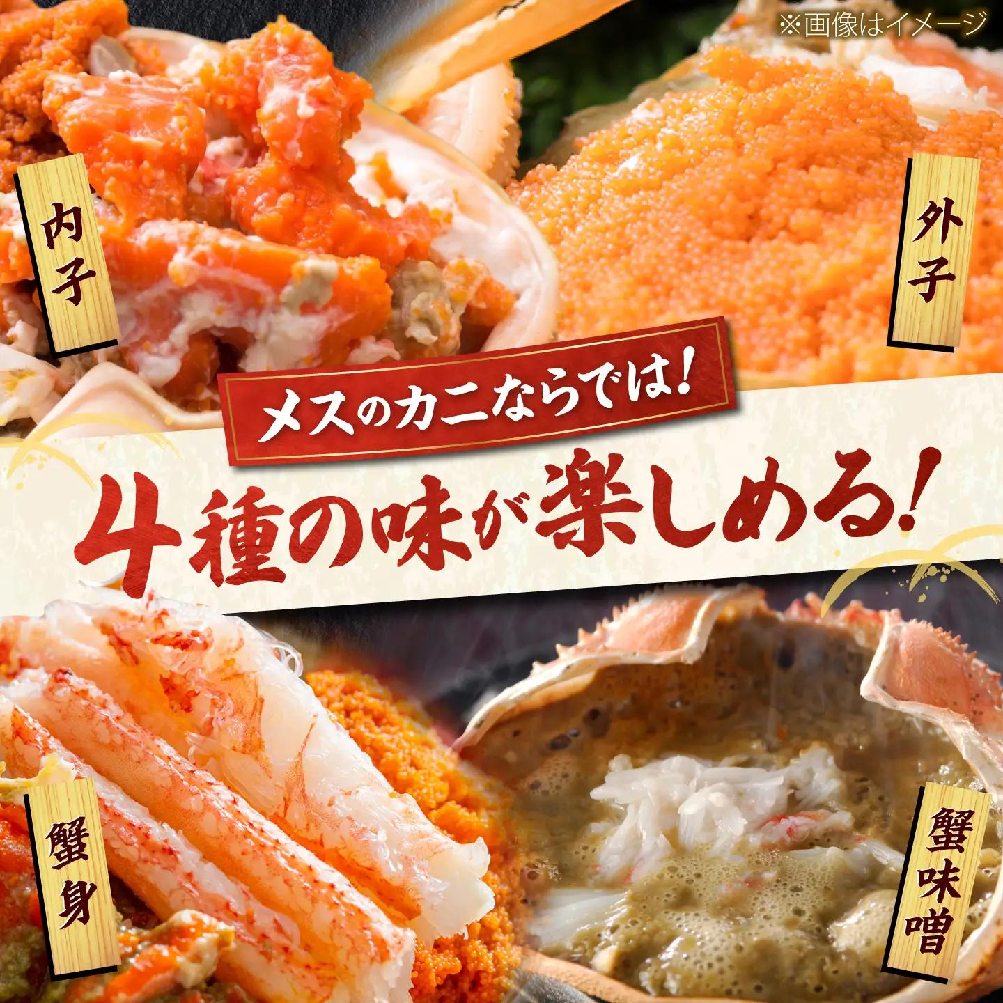 【先行予約/11月7日より順次発送】セイコガニ（ズワイガニのメス）中サイズ 5ハイ / かに ボイル セイコガニ 小浜市 / まるほ商店 [BFCS015]【配送不可:北海道・沖縄・離島】