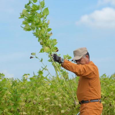 ふるさと納税 磐田市 静岡県磐田市産　生搾りえごま油 3本 |  | 02