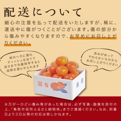 ふるさと納税 鳥取市 富有柿 5kg箱 (L〜2Lサイズ) |  | 02