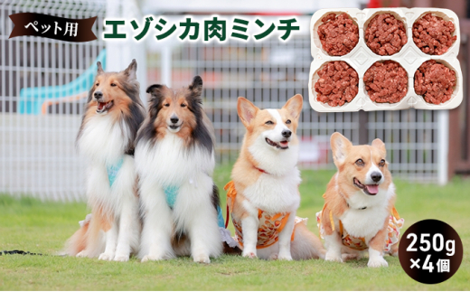 
ペットのおやつ【エゾシカ肉のミンチ】250g×4 南富フーズ株式会社 鹿肉 ジビエ 餌 犬 猫 鹿 ペット 健康 無添加 肉 北海道 南富良野町 エゾシカ
