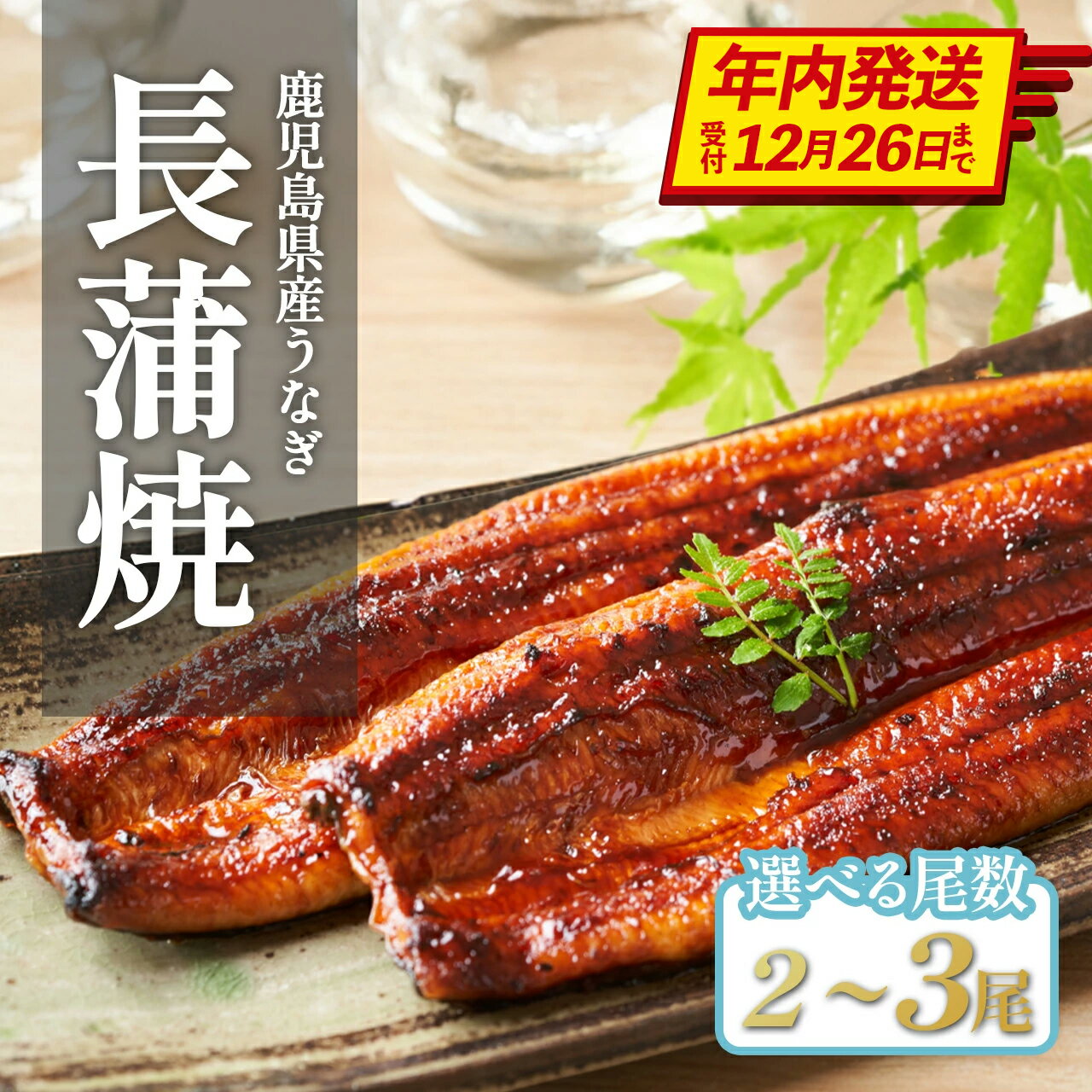 【ふるさと納税】 【年内発送】 国産 うなぎ長蒲焼 2尾 3尾 計320g以上 | 鰻 うなぎ ウナギ 国産 大崎町 蒲焼 蒲焼き 土用の丑の日 うな重 ひつまぶし たれ 鹿児島 国産うなぎ 特産品 鰻蒲焼 支援 国産鰻 うなぎ蒲焼き うなぎ蒲焼 和田養鰻