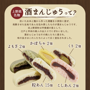 昔ながらの手作り酒饅頭（粒あん・こしあん・よもぎ・かぼちゃ・くり）23個入り まんじゅう 和菓子 名物 手作り 上野原名物 小豆 5種組合せ 贈り物 ギフト 送料無料 ※沖縄県、離島不可 山梨県 上野
