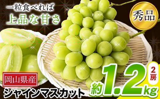 
            21. 秀品 シャインマスカット 約1.2kg 2房 《9月中旬～11月上旬頃に出荷予定(土日祝除く)》 st-p
          