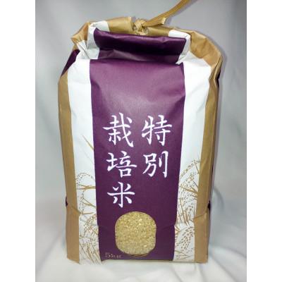 ふるさと納税 花巻市 【毎月定期便】銀河のしずく　厳選プレミアム　玄米5キロ全3回