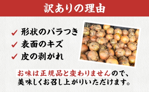 【訳あり】玉ねぎ5kg 玉ねぎ たまねぎ タマネギ 玉葱 オニオン 訳アリ わけあり玉ねぎ 野菜 玉ねぎ 滋賀県 長浜市 人気