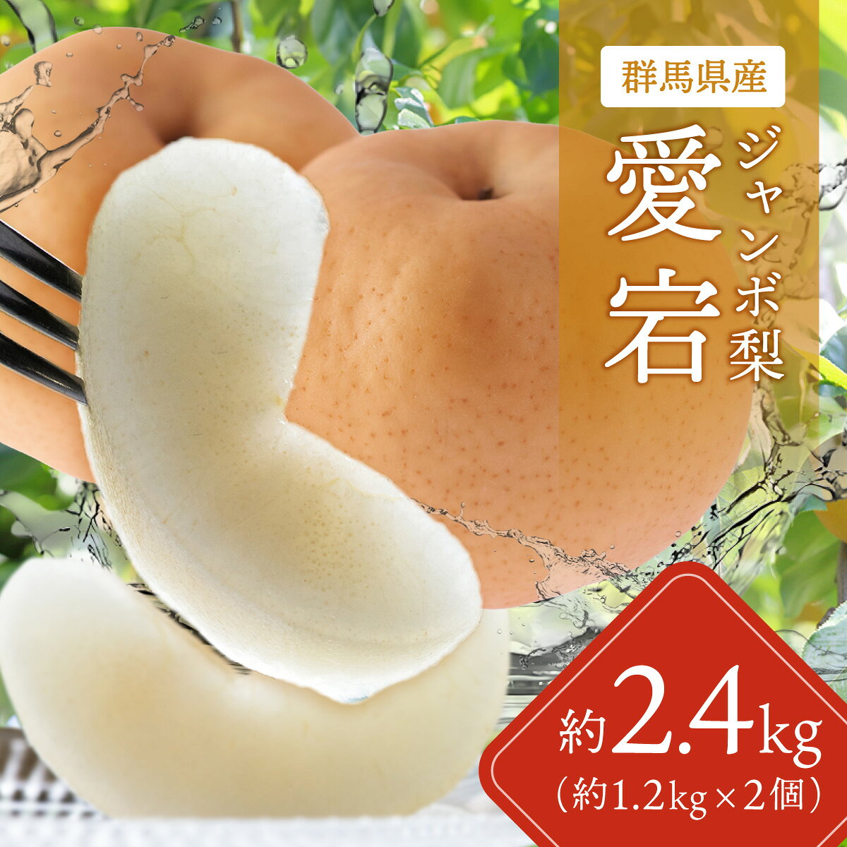 【ふるさと納税】【先行予約】群馬県産ジャンボ梨「愛宕」2個(1個あたり約1.2～1.3Kg)【11月中旬～12月下旬発送予定】【 ふるさと納税 人気 おすすめ ランキングなし 梨 ギフト 贈り物 群馬県 安中市 送料無料 】ANAH002