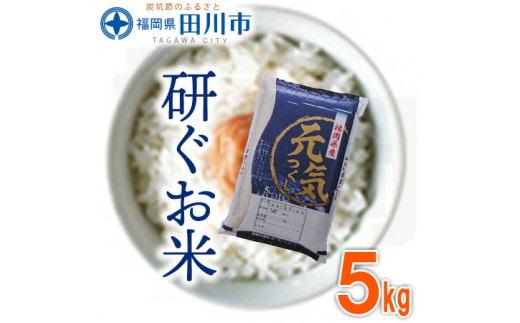 福岡県産元気つくし 5kg お取り寄せグルメ　お取り寄せ 福岡 お土産 九州 ご当地グルメ 福岡土産 取り寄せ 福岡県 食品