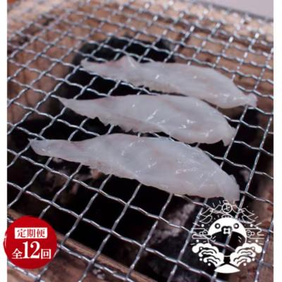 ふるさと納税 壱岐市 【毎月定期便】極上焼きふぐセット(40g×6パック)全12回