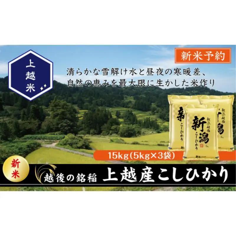 コシヒカリ 精米 上越産 コシヒカリ 15kg
