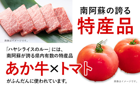 ちきゅうや「むらのあか牛ビーフシチュー×2」「むらのハヤシルー×2」計4食セット《30日以内に出荷予定(土日祝除く)》 熊本県南阿蘇村 ハヤシルー ビーフシチュー