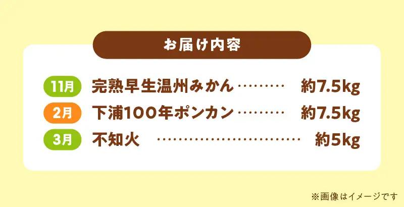 S040-T03A_【定期便3回】天草 下浦地区特産の柑橘3種Ｂセット(訳あり)【先行受付】