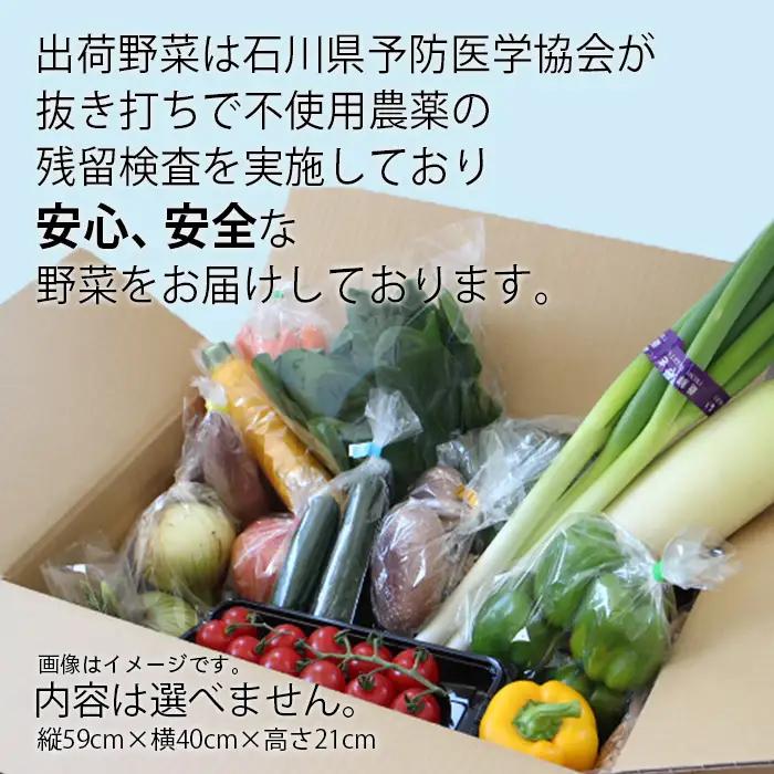 《野菜 定期便 12ヵ月 JA小松市（毎月）》季節 野菜 詰合せ 定期便 詰合せ  石川県 小松市 北陸 石川県 北陸