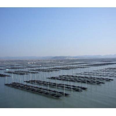 ふるさと納税 那珂川市 本場有明海栽培海苔　海王　一番摘み　福岡有明のり　焼海苔[全形5枚入り5袋](那珂川市) |  | 02