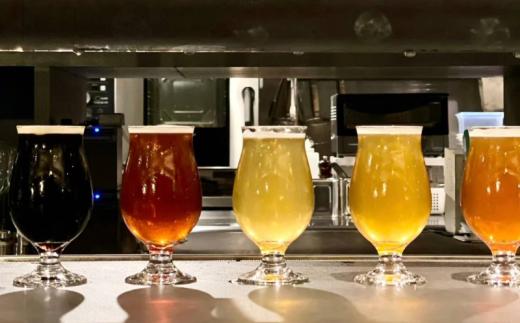 ビール クラフトビール 湘南台クラフトビール 3種 と モッツァレラチーズ 3種 のセット ラガー スタウト IPA 330ml×各1本 合計3本 極生 味噌漬け 魚醤漬け モッツァレラチーズ 各1個