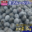 【ふるさと納税】 ブルーベリー 生ブルーベリー 340g ×4パック 計約 1.3kg 南四国ファーム berry ベリー 果物 くだもの フルーツ デザート スイーツ ジャム ポリフェノール 抗酸化作用果物 冷蔵 小分け 農家直送 産地直送 数量限定 フルーツ 国産 愛媛 宇和島 F012-035006