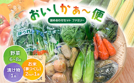 野菜セット おいしかぁ～便 詰め合わせ 新鮮野菜 福岡県産 野菜セット【ファミリー用】
